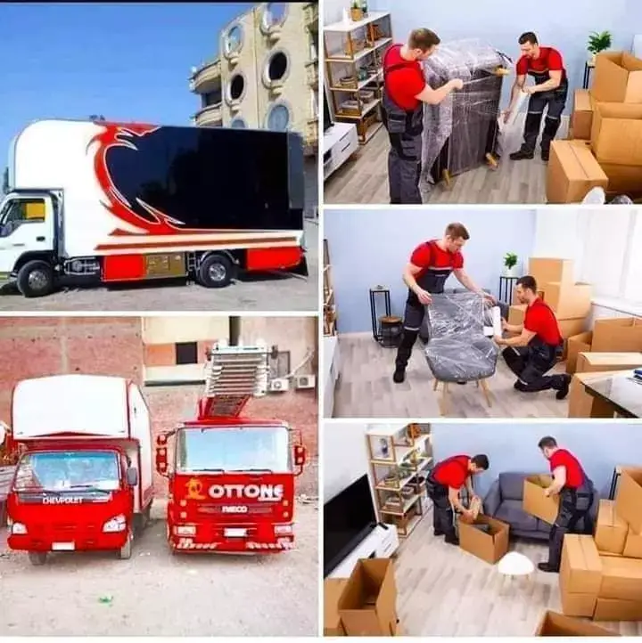 نقل اثاث في ميت غمر