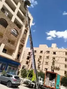 شركات نقل الاثاث في النجيلة