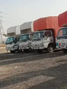 شركات نقل الاثاث في طيبة الجديدة