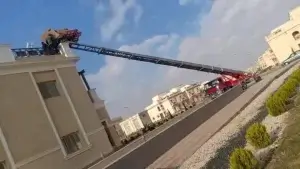 شركات نقل الاثاث بطوخ