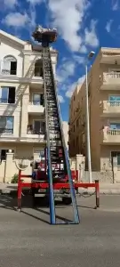 شركات نقل الاثاث في قها