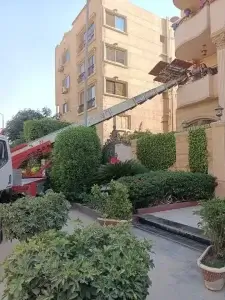 شركة ونش رفع اثاث في الداخلة