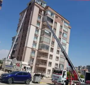 شركات نقل الاثاث في مدينة الواحة
