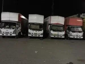 شركة نقل اثاث في الحمزاوي