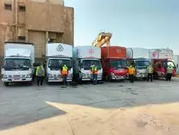 شركات نقل الاثاث في شارع احمد حشمت