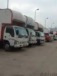 نقل وتغليف العفش في شارع جمال عبد الناصر