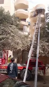 نقل وتغليف العفش في بولاق