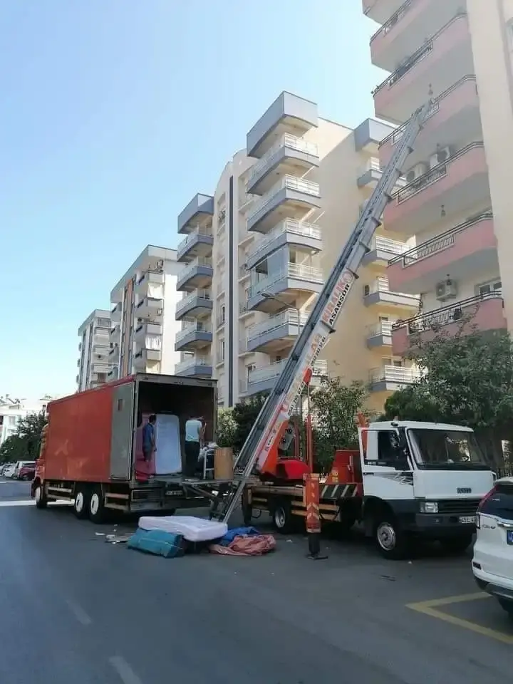 شركة نقل الموبيليا في دسوق